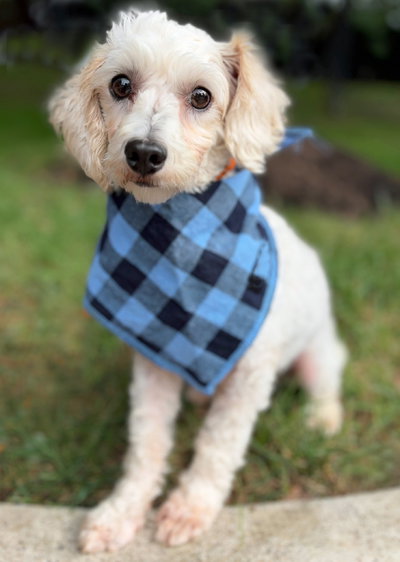 Photo 2 of Barnaby
