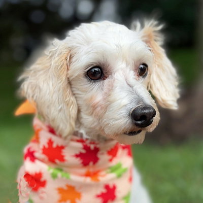 Photo 6 of Barnaby