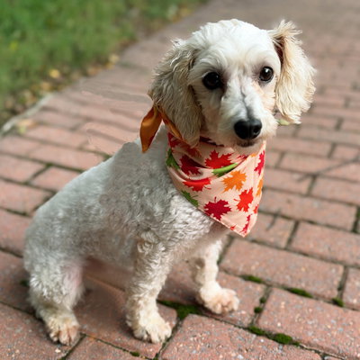 Photo 4 of Barnaby