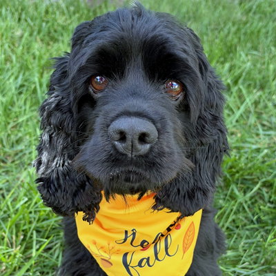 Ember, photo 4