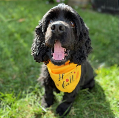 Ember, photo 9