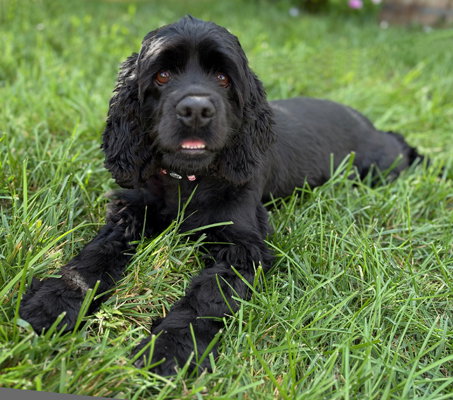 Ember, photo 3
