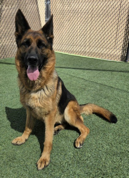 KIMA