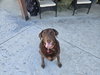 Sadie #2 - Photo 3