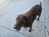 Sadie #2 - Photo 4