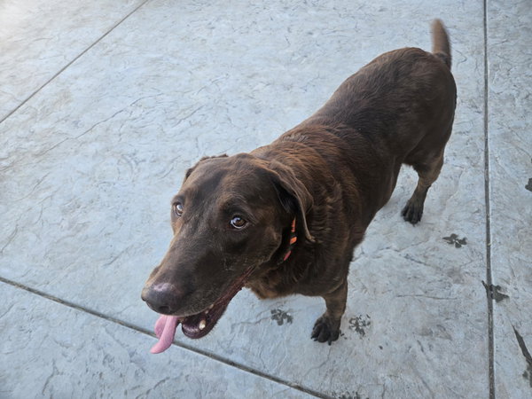 Sadie #2