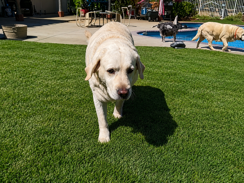 Baby & Sugar photo 2
