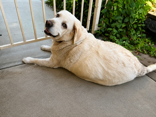 Baby & Sugar photo 3