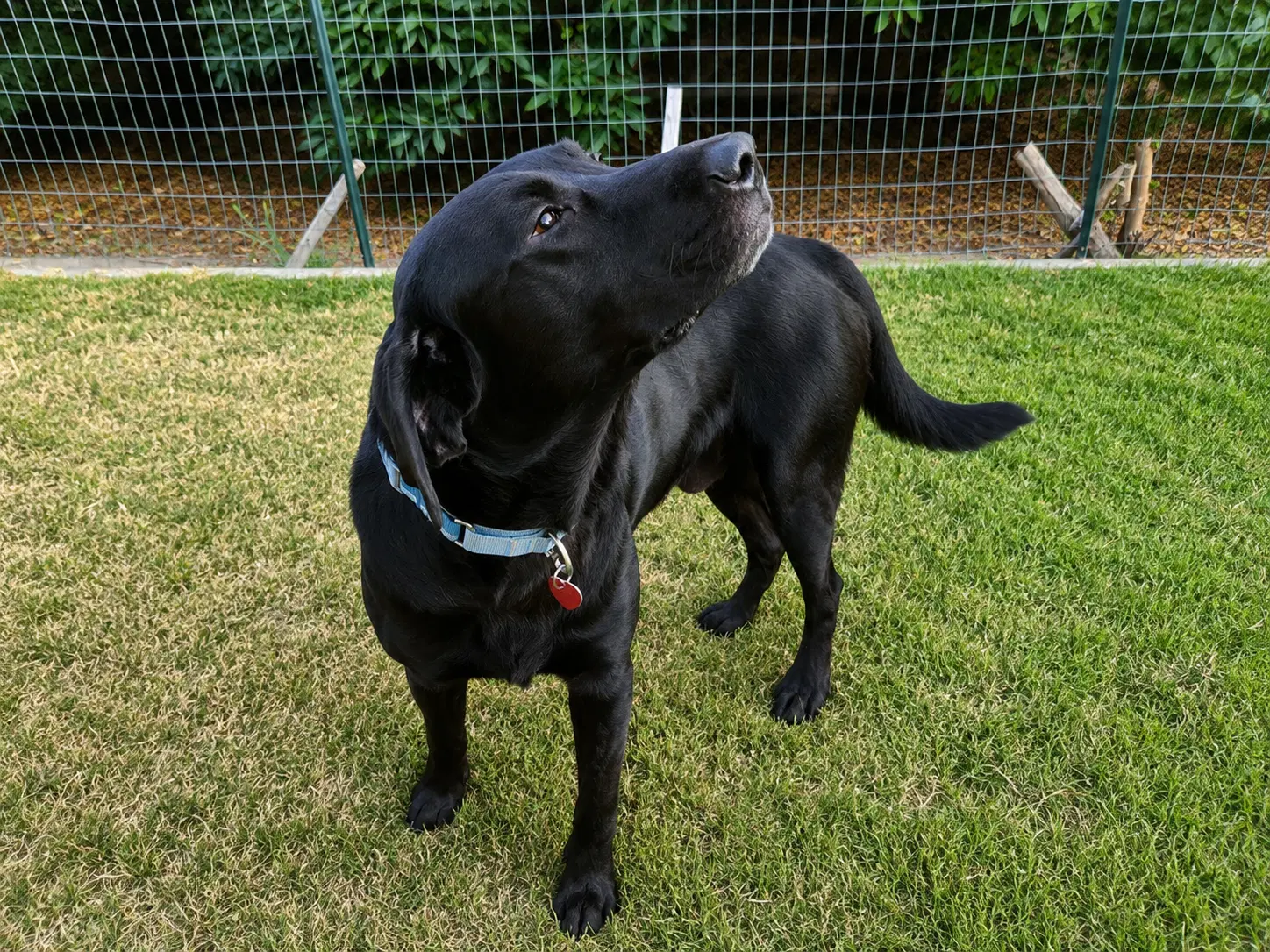 Bogey image 3
