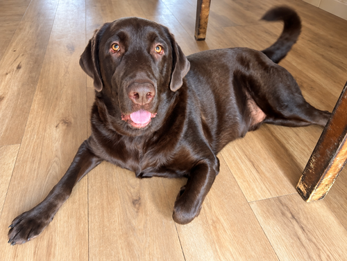 Photo 3 of Tucker