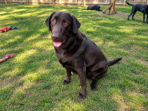 Photo 4 of Tucker