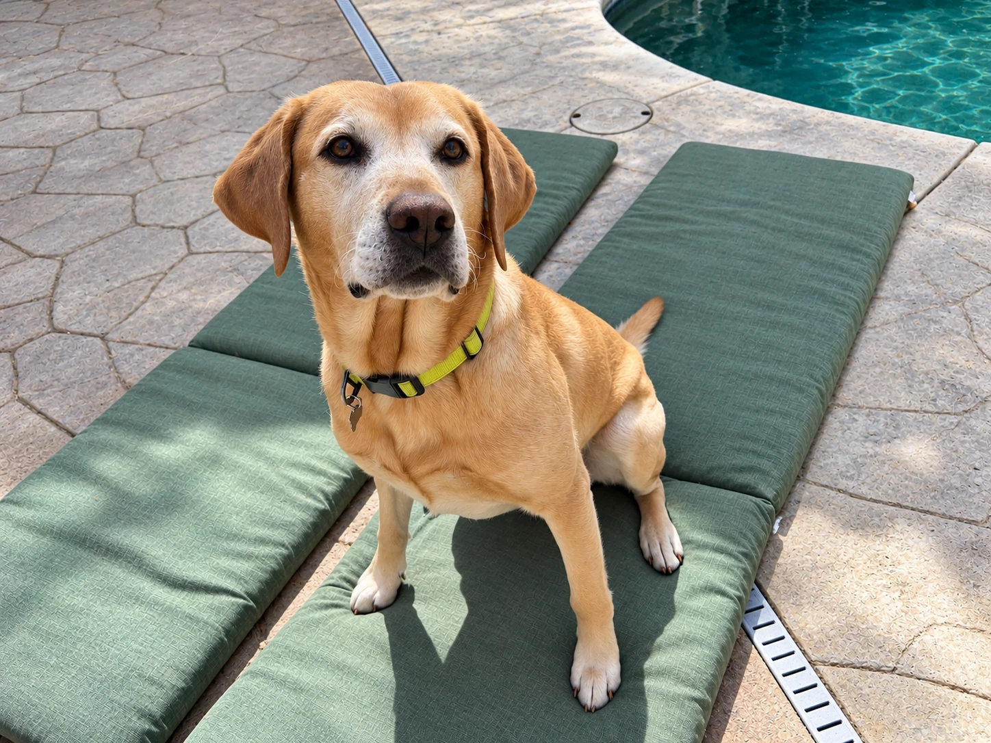 Ruger