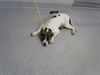 adoptable Dog in  named NATASHA