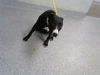 adoptable Dog in  named A179778
