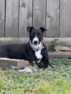 PENNY LANE - Photo 1