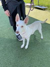 CASPER - Photo 1