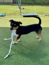 BROOKS - Photo 1