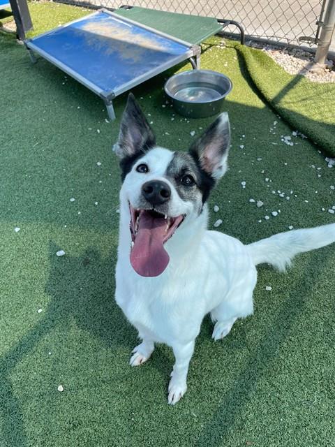 ZOEY