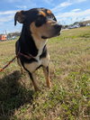 A183670 - Photo 1