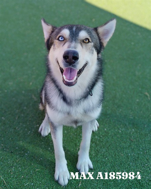 MAX