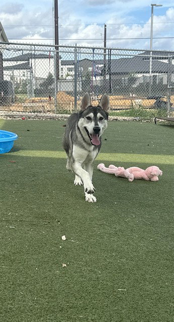 Mia