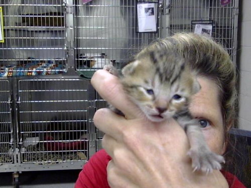 A185815