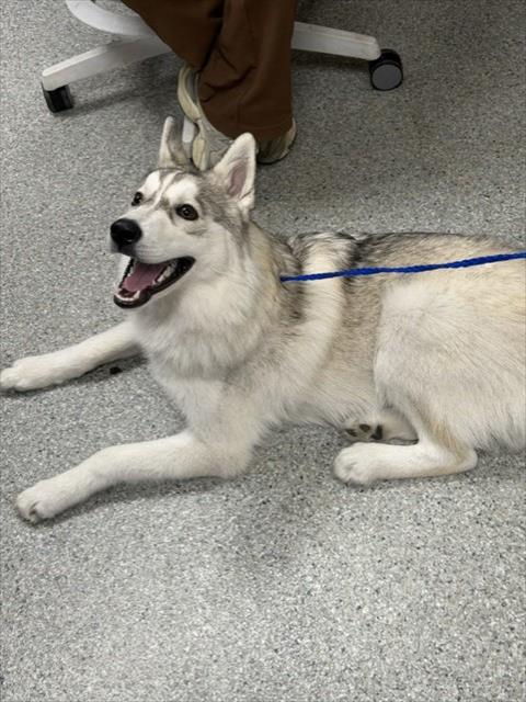 Zeus
