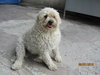 Berta - Photo 2