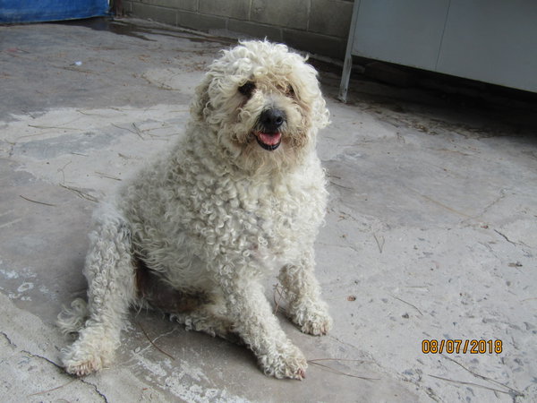 Berta