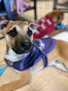 Jackk - Photo 2