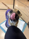 Jackk - Photo 3