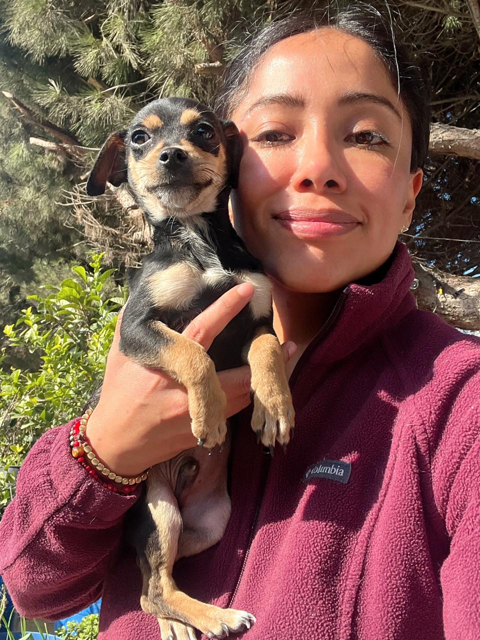 adoptable Dog in San Diego, CA named Snoopy