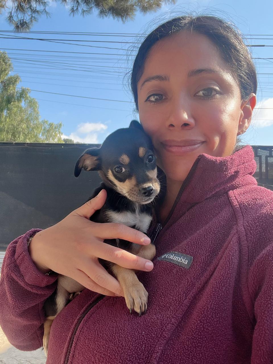 adoptable Dog in San Diego, CA named Shirleyy