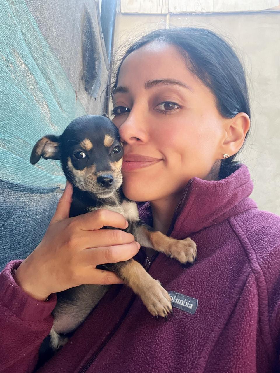adoptable Dog in San Diego, CA named Tony