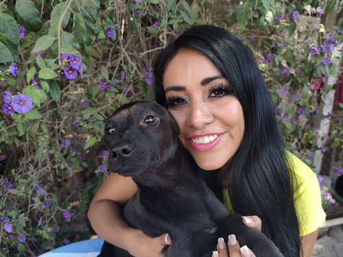 Jaguarm, an adoptable Black Labrador Retriever in San Diego, CA