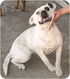 Blanca photo 3