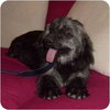 Tikina - Photo 2