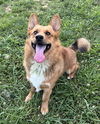 Luca