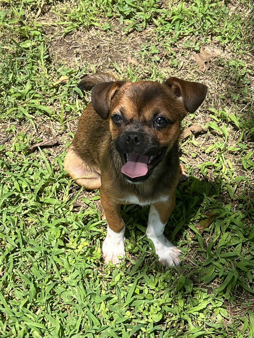 Buster