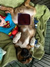 Buster