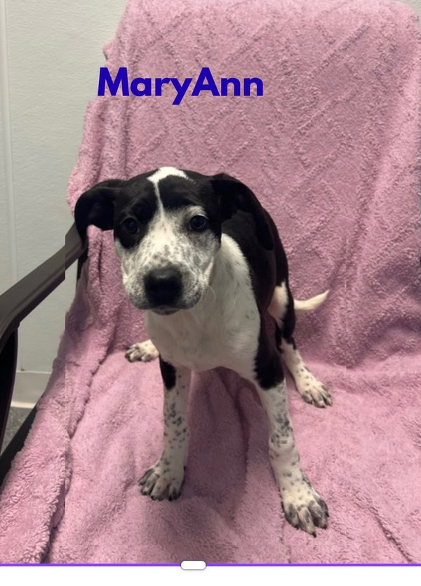 Mary Ann