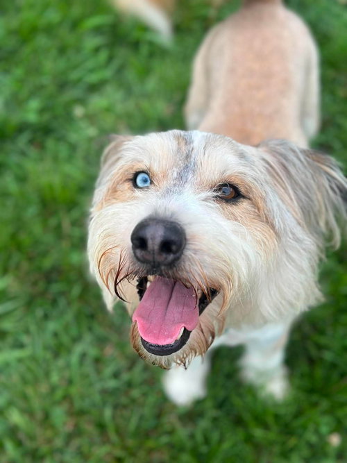 Murphy