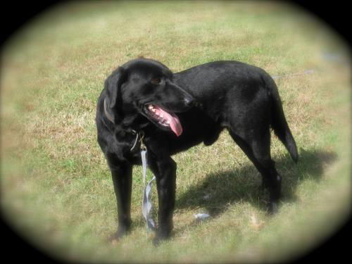 Parker (aka Tucker)