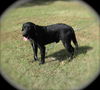 Parker (aka Tucker)