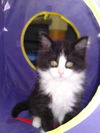 Wilma