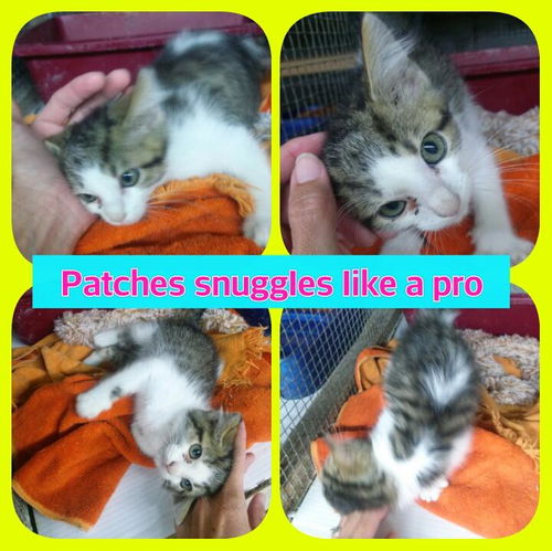 Patches