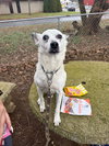 Chip-Sponsored - Photo 1