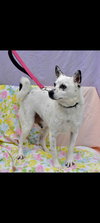 Chip-Sponsored - Photo 3