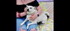 Chip-Sponsored - Photo 4