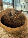 Maggy-Sponsored - Photo 2
